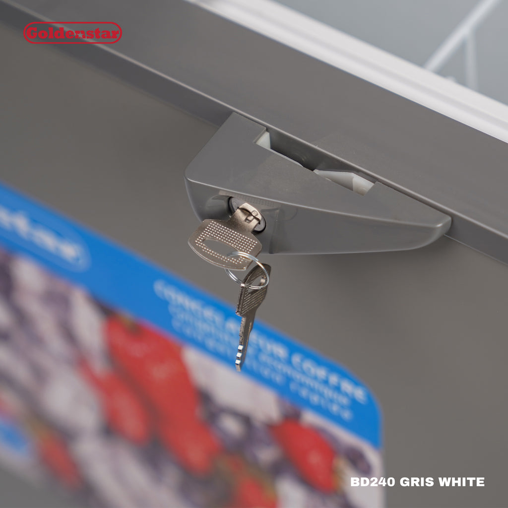 Congelateur 240L GRIS WHITE