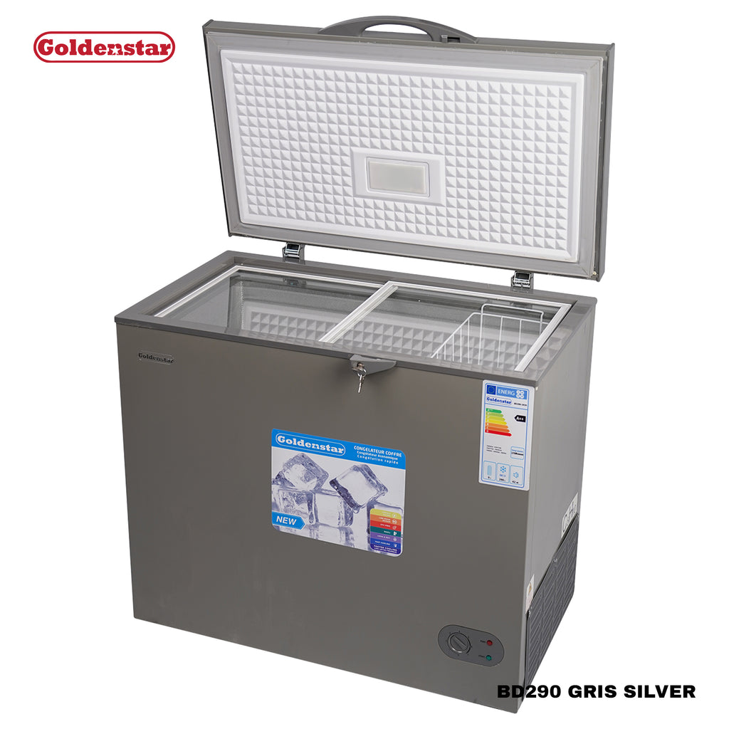 Congelateur 290L GRIS SILVER